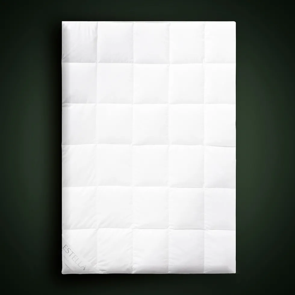 Daunen Casettendecke | weiss