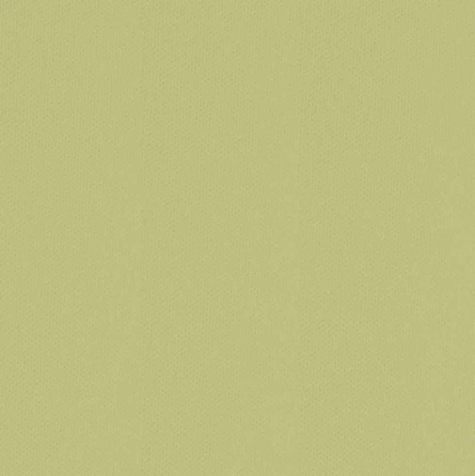 Spannbetttuch Feinjersey | maigrün